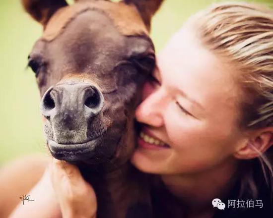 战火中永生——波兰系阿拉伯马的故事