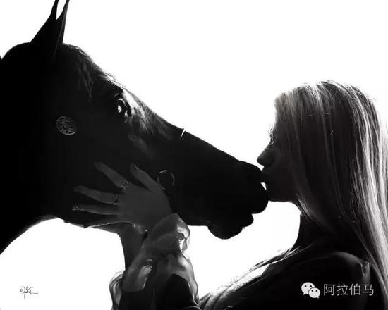 战火中永生——波兰系阿拉伯马的故事