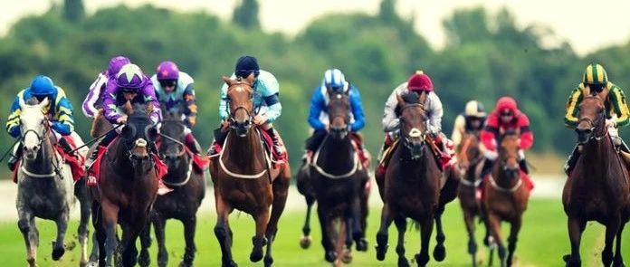 全球马业大事件（国际版）