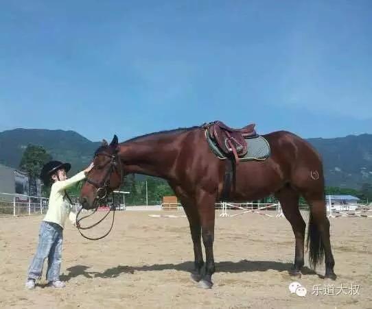 图片来源于网络