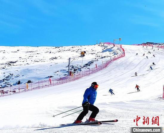 原料图 阿勒泰文旅局供图