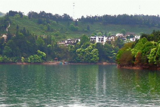 这里大概就是茶岭了