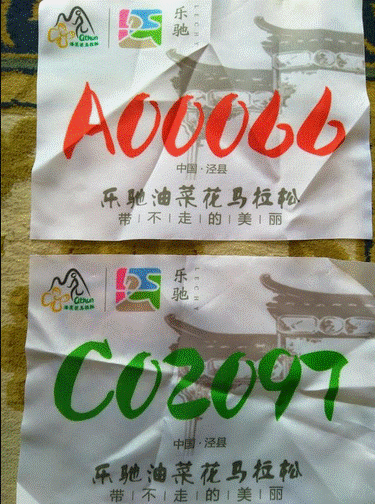 开始发给我的胸牌是A00066，到现场就要进半马