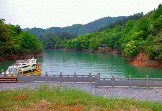 白色的游艇是我们包的。