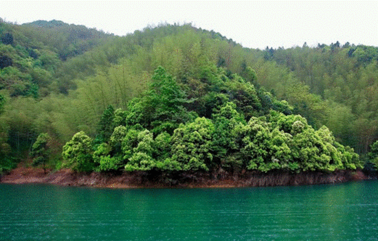 松竹融洽为一体。