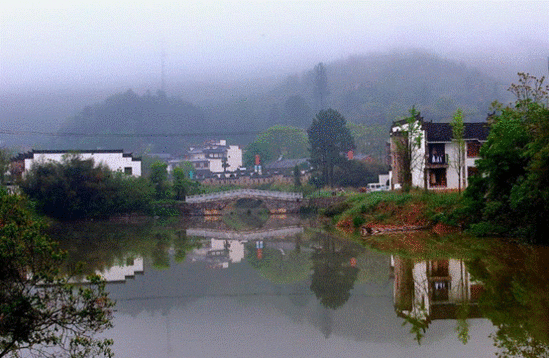 一早起来，有点大雾，但没有理想的平流雾。