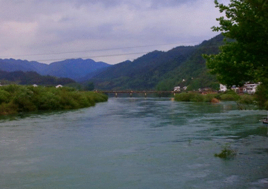 这几天雨水较大，江水看上去非常急