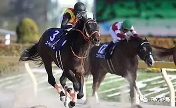 　▲图/dsportsnews，‘黄金梦’（左）