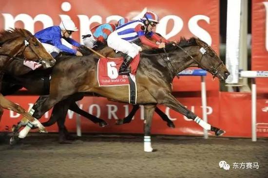 　▲图/Andrew Watkins，‘比萨胜驹’（6号）赢得2011年迪拜世界杯