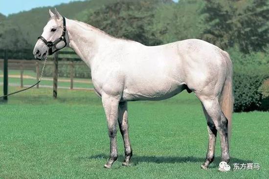 　▲图/JBIS，‘大洋船’