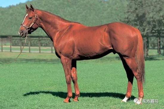 　▲图/JBIS，‘黄金魅力’