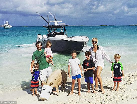 “游泳猪”，它们因和前来度假名人亲密接触而迅速走红。