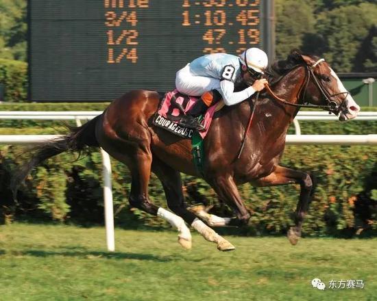 8000多万的种公马"嘉里"!配种费需要多少?