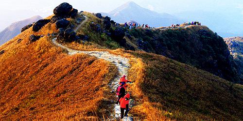 虽然大多数人没有这位艺术家的情怀，但却有为生活加点料的美好心思。