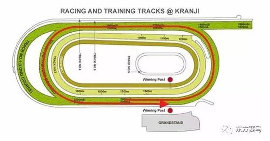 场[注]马匹,马主,练马师,骑师的中文名字旁边出现*表示香港赛马会没有