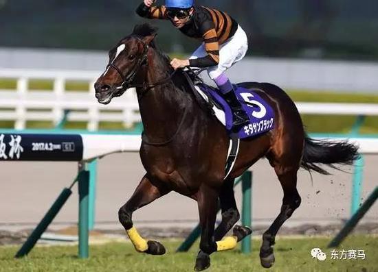 全球纯血马一级赛周报:日本大阪杯奖金2亿日元