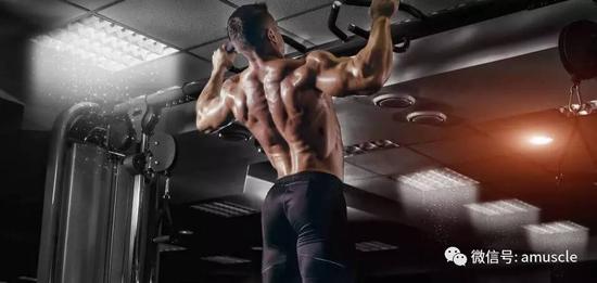 当谈到背部训练，我们所能做的远不止硬拉和划船。