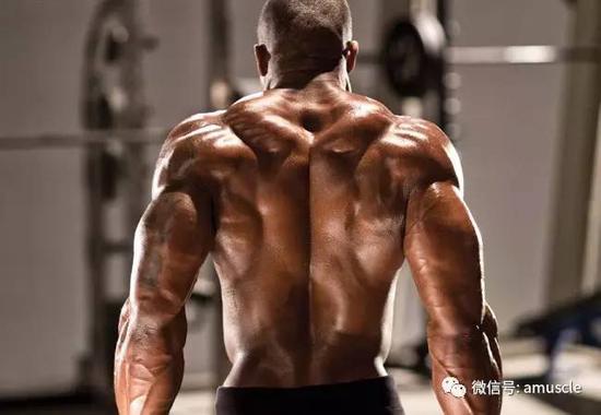 发达的肩膀会给人带来原始的力量冲击，而斜方肌就是其中的一部分。