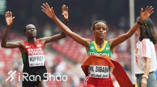 埃塞女队之所以多出一人，是因为上届冠军玛瑞·迪巴巴自动获得本届参赛资格。她和另两个迪巴巴并无亲缘关系。
