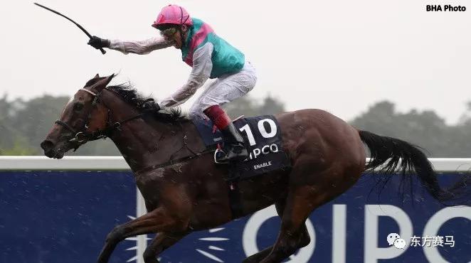 5个一级赛冠军3岁雌马唯才是举当选欧洲马王