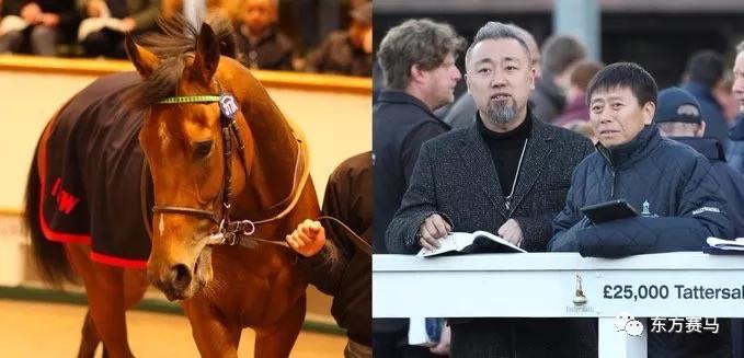 “政治家*”(左)，张月胜(右)