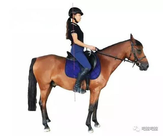 初学骑马，先要会坐