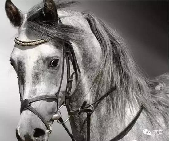 图片来源于网络