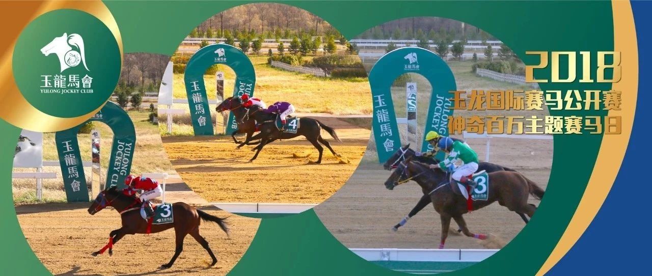 玉龙国际赛马公开赛2018」第20赛事日