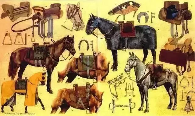 图片来源于网络