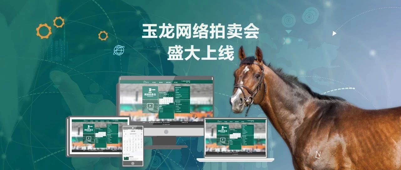 玉龙网络拍卖会
