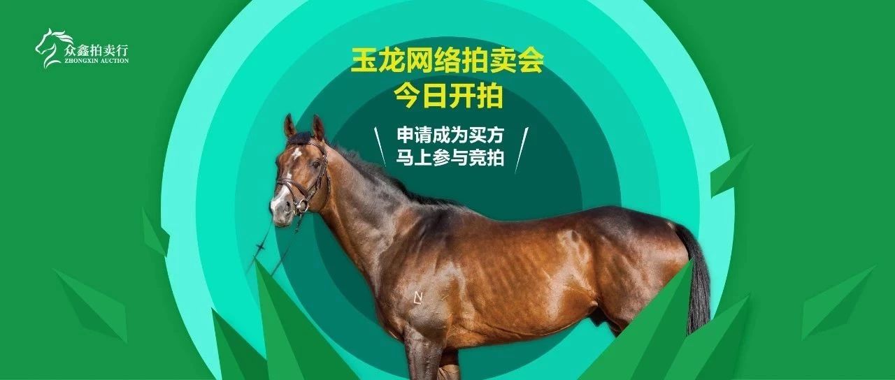 玉龙首场网络拍卖会上线