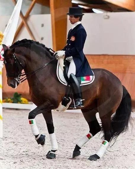 我为什么选择经典骑坐姿势?