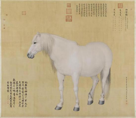 学习古代马知识_手机新浪网