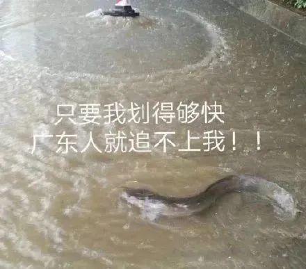 一场雨什么都没了!损失惨重啊!朱芳雨看了想