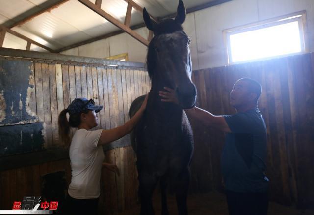 图为王海和乌日娜在马房查看马匹情况。