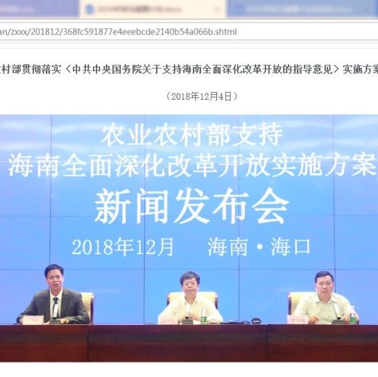 琼马健康计划