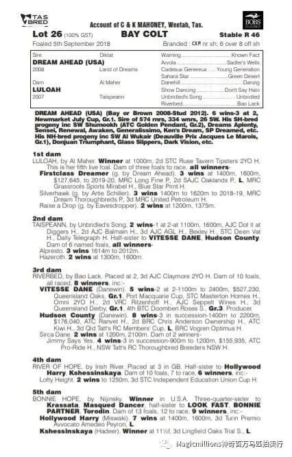 “峻岭鹰扬”之女全场最贵，神奇百万塔斯马尼