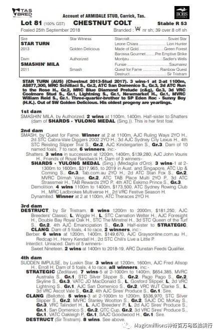 “峻岭鹰扬”之女全场最贵，神奇百万塔斯马尼