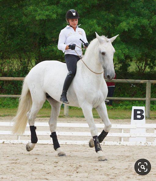 想要无缰骑乘从这里开始你的训练