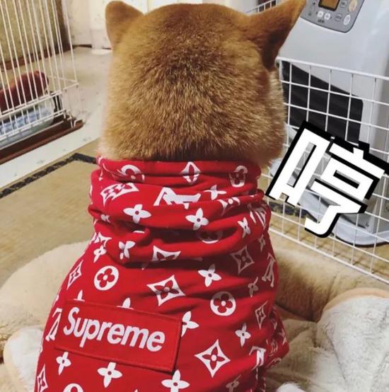 Supreme x 村上隆联名"慈善"Bogo T恤,明天发