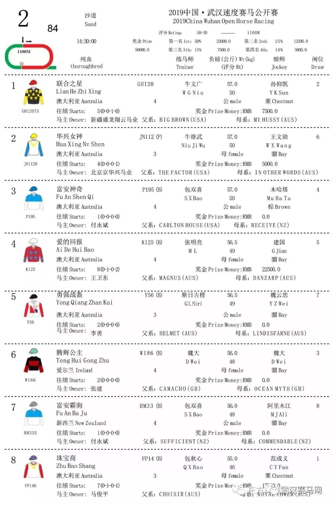 2019中国·武汉速度赛马公开赛11月30日赛事排位表