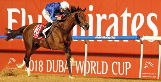 2019迪拜世界杯 Dubai world cup