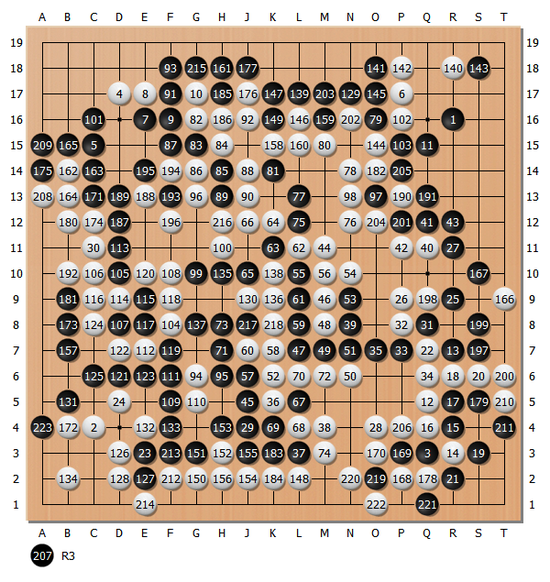 图13(1-223)