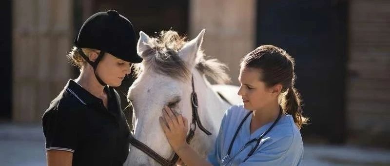 千万不要忽视马匹大声打嗝