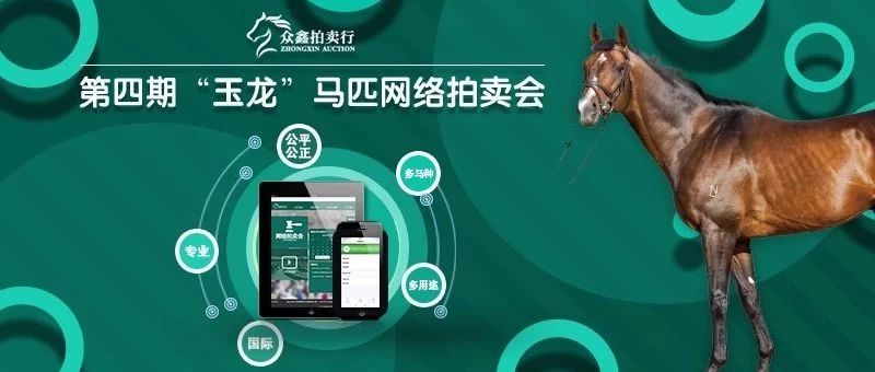 第四期“玉龙”马匹网络拍卖会