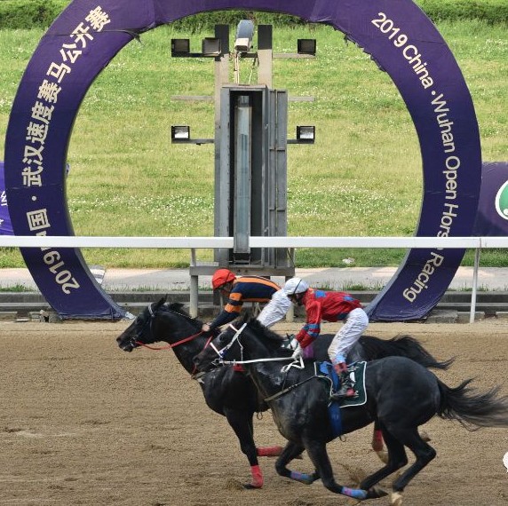 “卾疆合作主题赛马日”