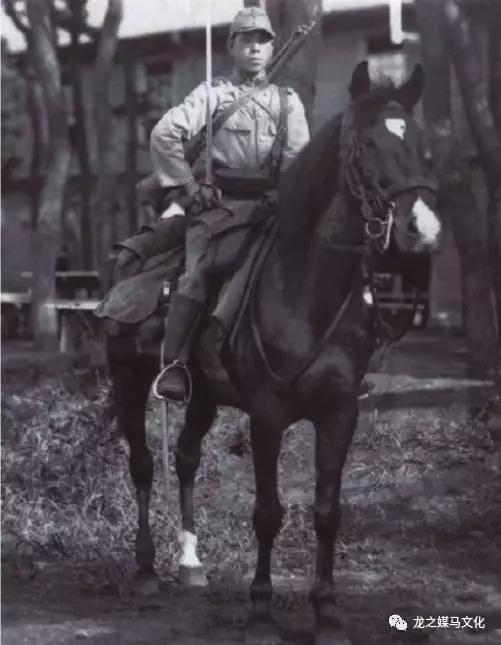 东洋马的发展简史