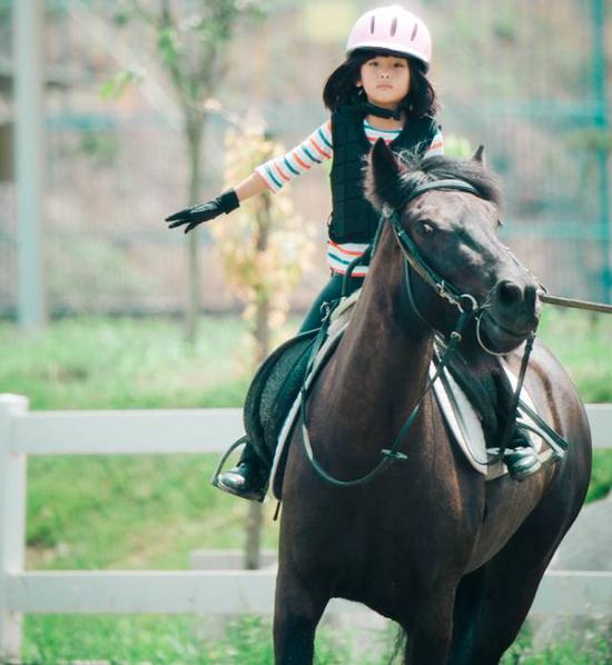 【马术知识】你知道马儿都有自己的性格吗？