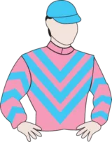 神奇百万赛日之华人兵团