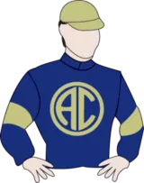 神奇百万赛日之华人兵团